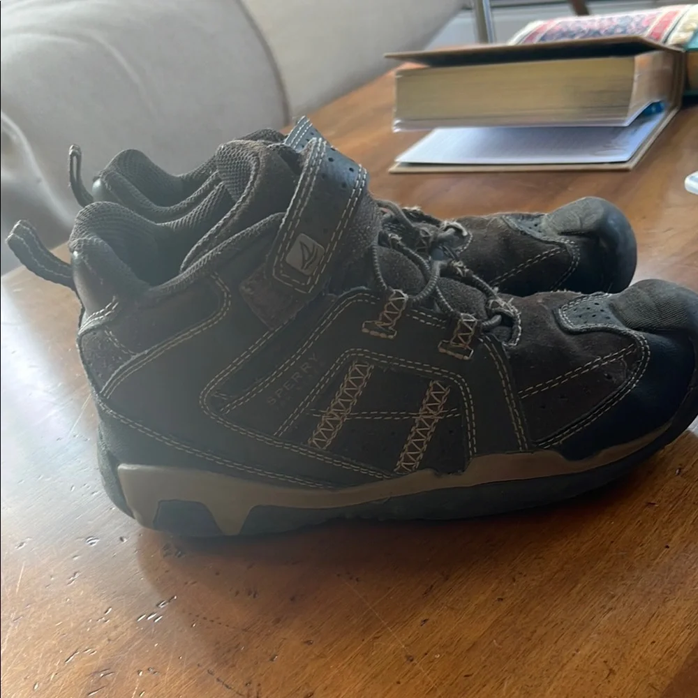 Sperry Top Sider Brown Suede Boots